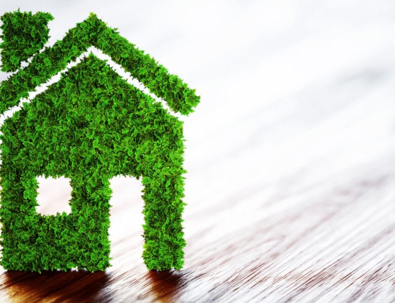 3 raisons de choisir une maison écologique pour votre prochain projet