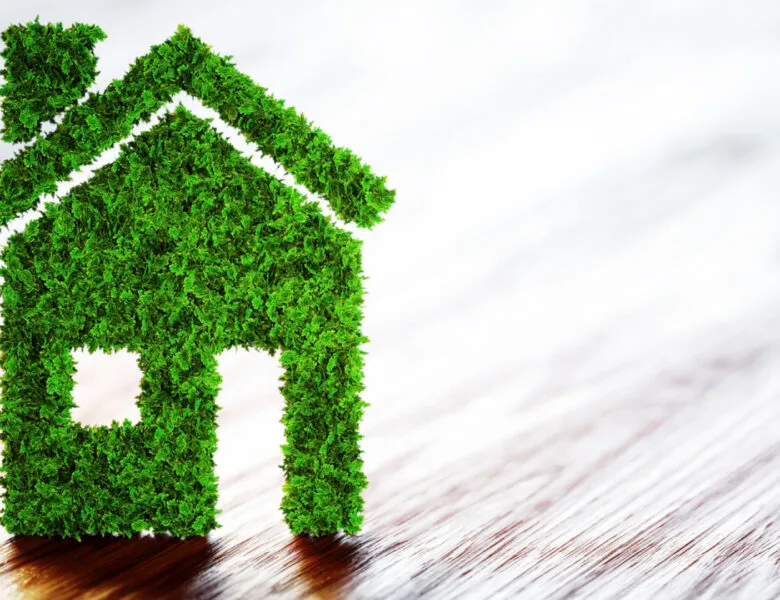 3 raisons de choisir une maison écologique pour votre prochain projet