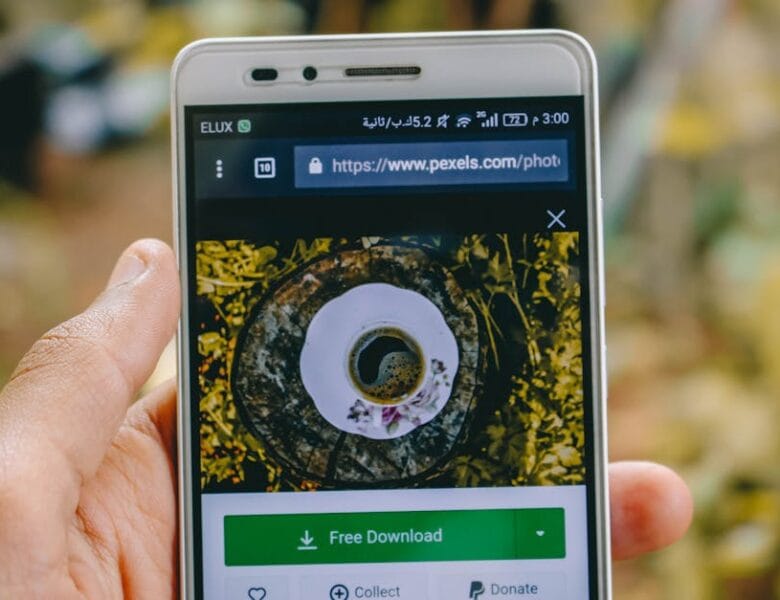 Extreme Download : adresse actuelle et conseils pratiques