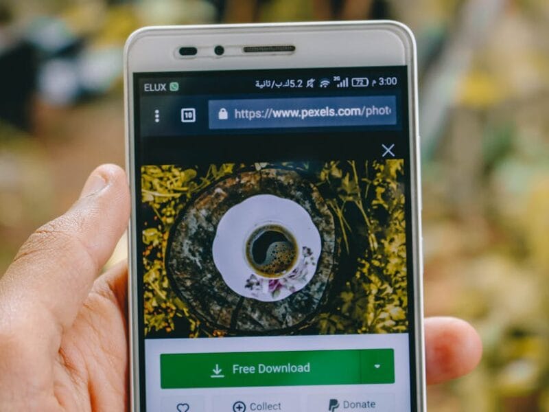 Extreme Download : adresse actuelle et conseils pratiques