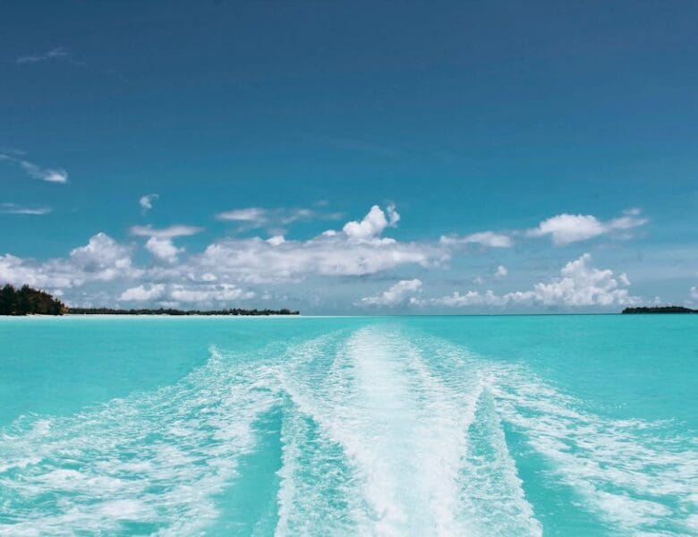 French Stream : Accédez aux meilleurs films gratuits