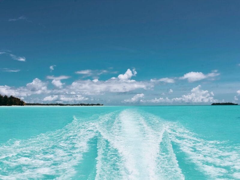 French Stream : Accédez aux meilleurs films gratuits