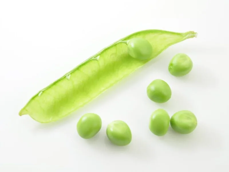 Raie : bienfaits nutritionnels et préparation