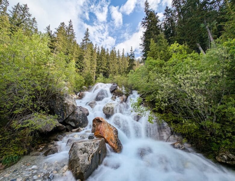 9 Torrent : Guide des meilleures alternatives