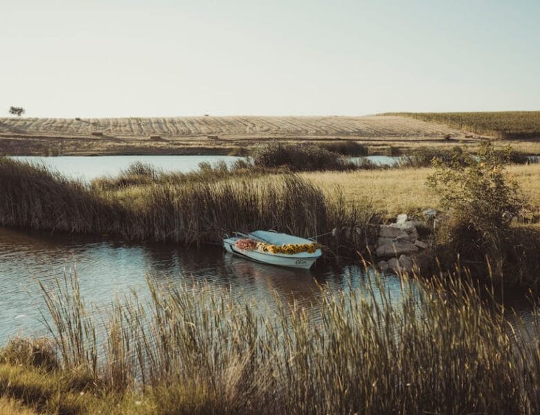Découvrez la nouvelle adresse de 1jour1film