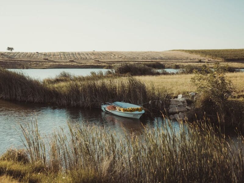 Découvrez la nouvelle adresse de 1jour1film