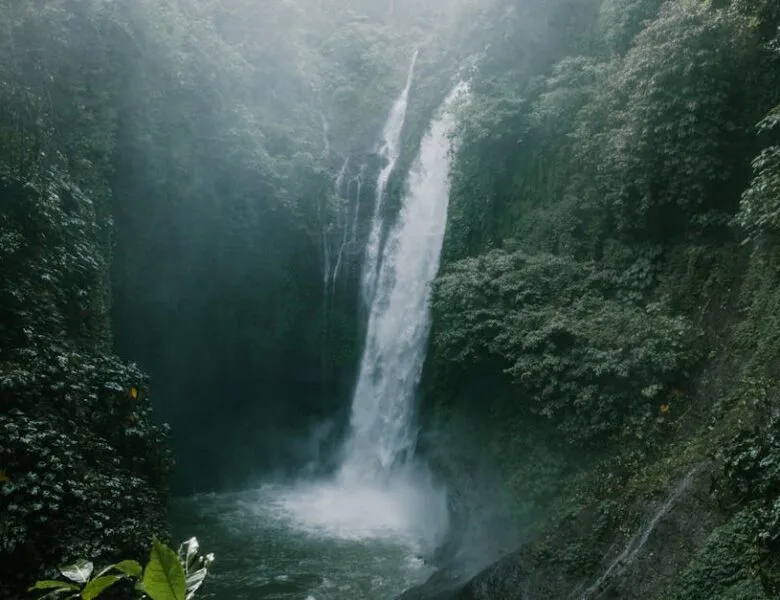 Cpasbien : Nouvelle adresse pour accéder aux torrents
