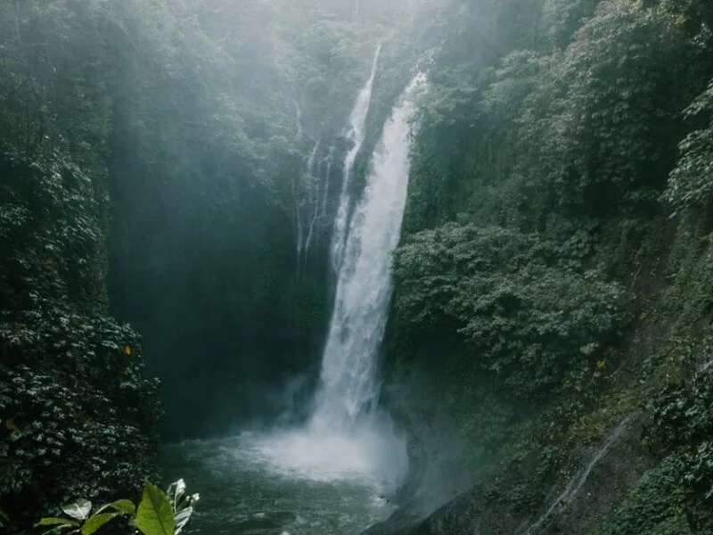 Cpasbien : Nouvelle adresse pour accéder aux torrents