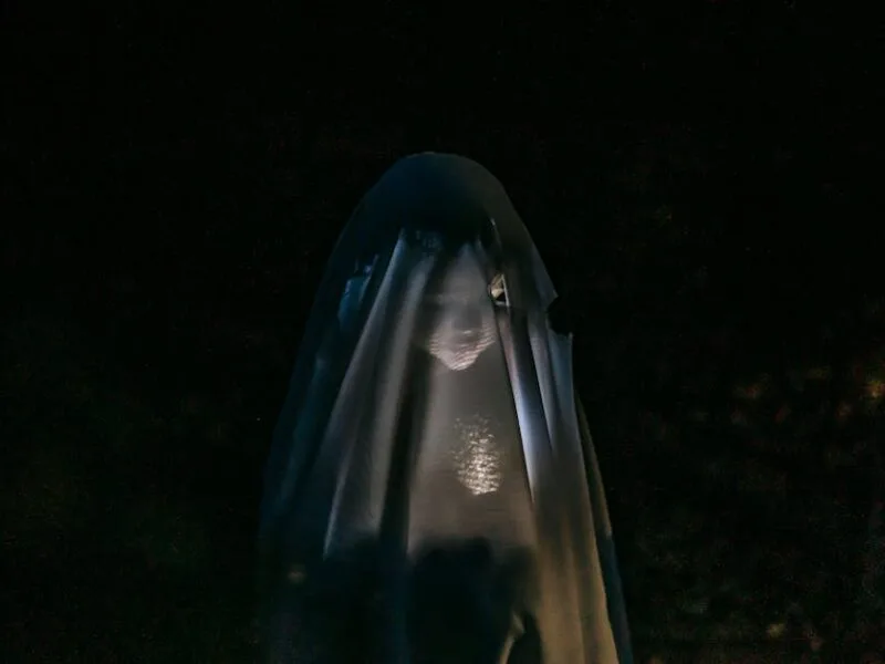 Comment trouver Terrifier en streaming rapide ?