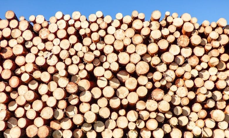 Matériaux écologiques pour bâtir durable