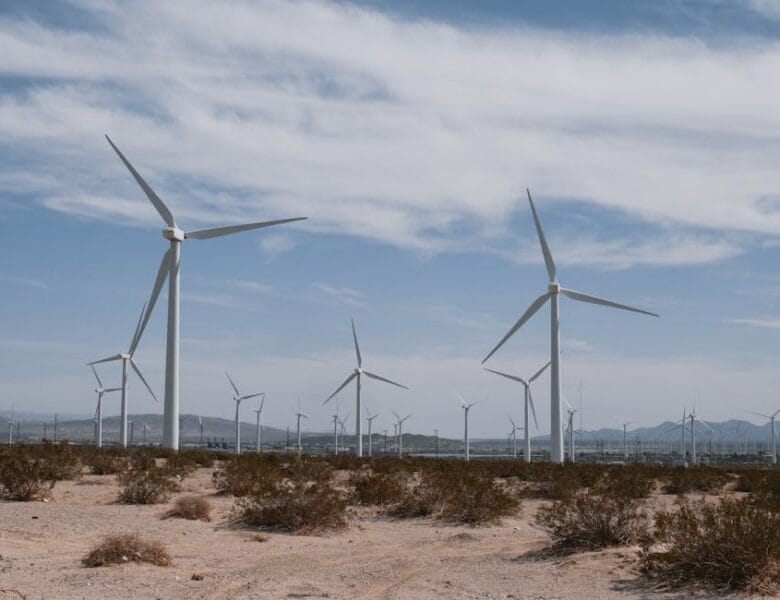 Investir dans l’écologie pour économiser gros