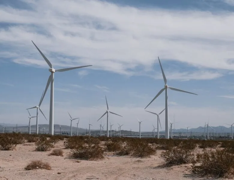 Investir dans l’écologie pour économiser gros