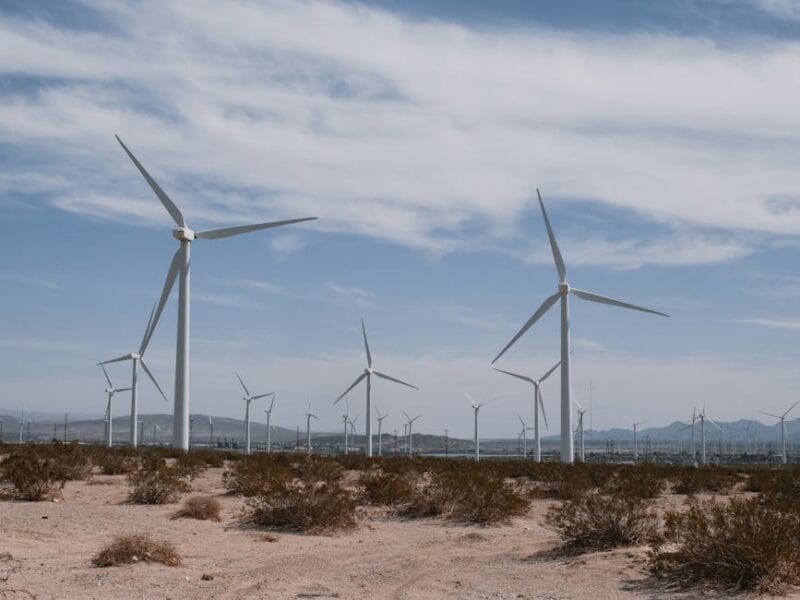 Investir dans l’écologie pour économiser gros