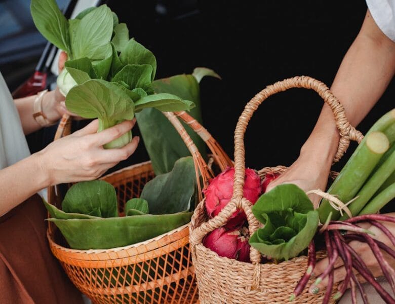 Astuces pratiques pour un quotidien écoresponsable