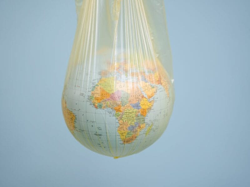 Écologie et pratiques durables à adopter