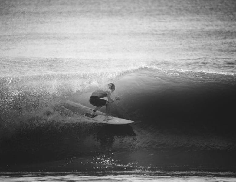 Free-télécharger : dernières adresses mises à jour