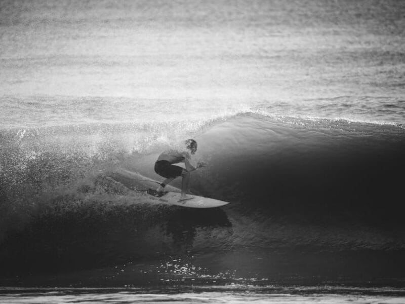 Free-télécharger : dernières adresses mises à jour