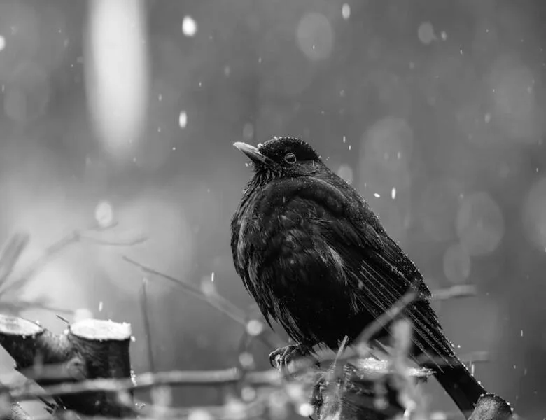 Performance VMC hygroréglable : tout savoir