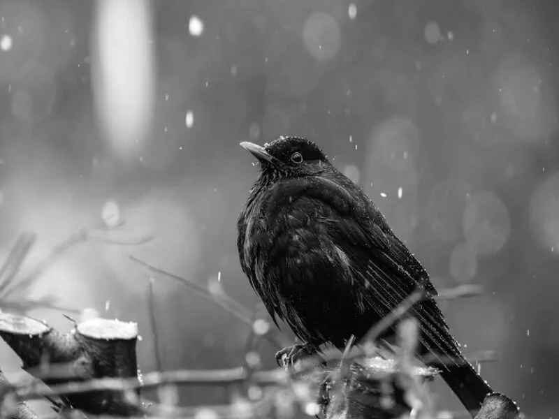 Performance VMC hygroréglable : tout savoir