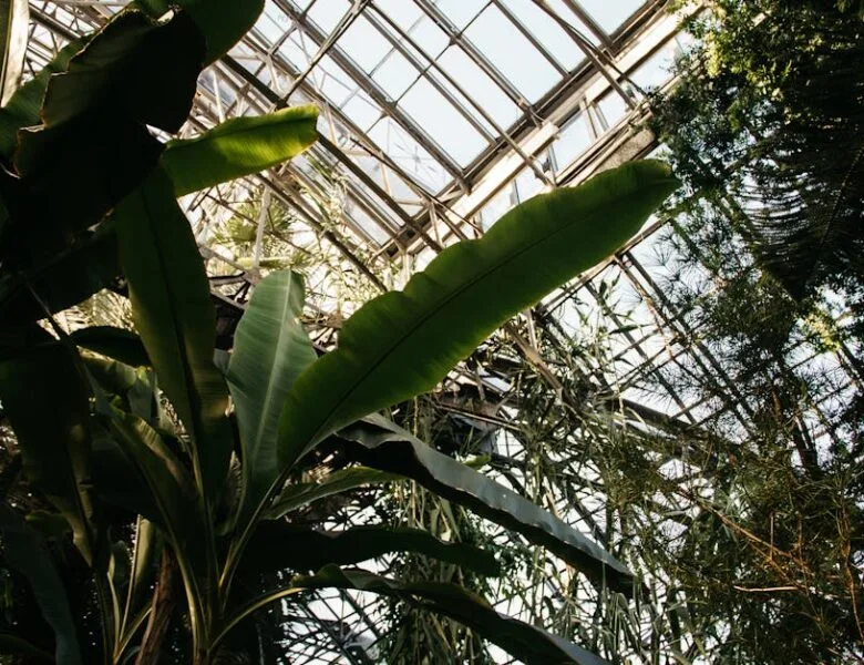 Bricolage : astuces pour un habitat durable