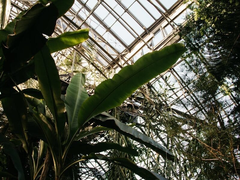 Tendances écologiques pour un habitat durable