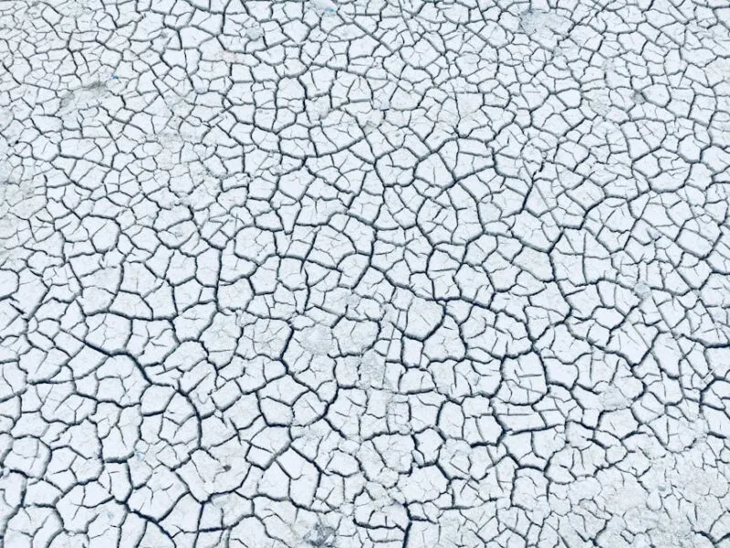 Comment utiliser Extreme Down pour vos téléchargements ?