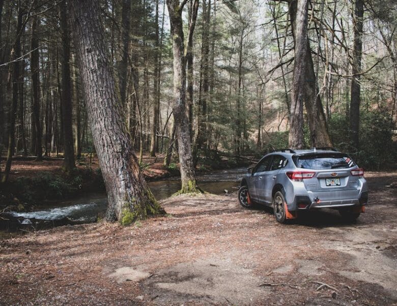 HDS Streaming : Accédez à des Films et Séries