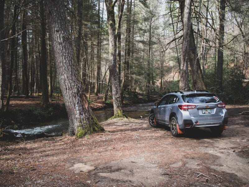 HDS Streaming : Accédez à des Films et Séries