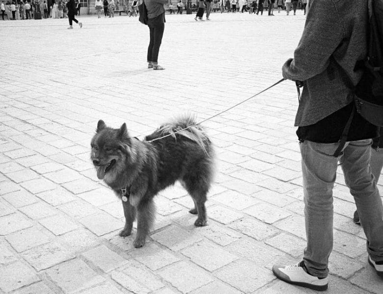 Guide de navigation sur ADKami : Découvrez les séries