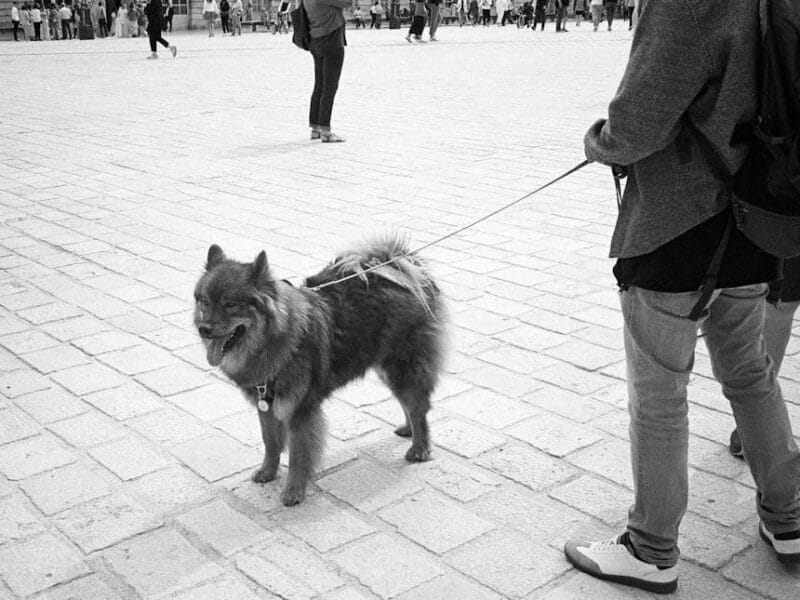 Guide de navigation sur ADKami : Découvrez les séries