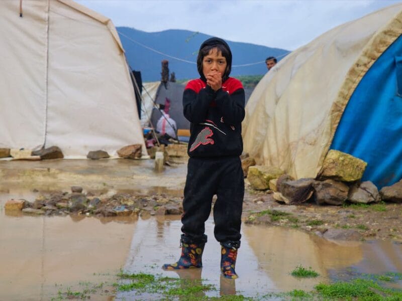 Annuaires de téléchargement : la nouvelle adresse à jour