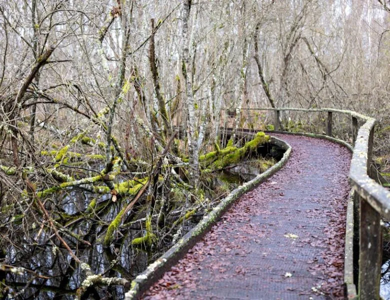 Solutions économiques pour un habitat durable