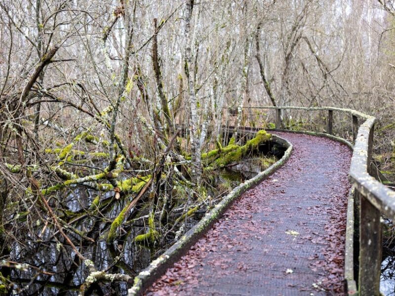 Solutions économiques pour un habitat durable