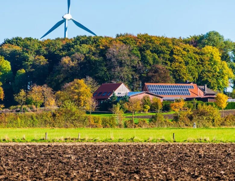 Nouveautés écologiques pour la maison