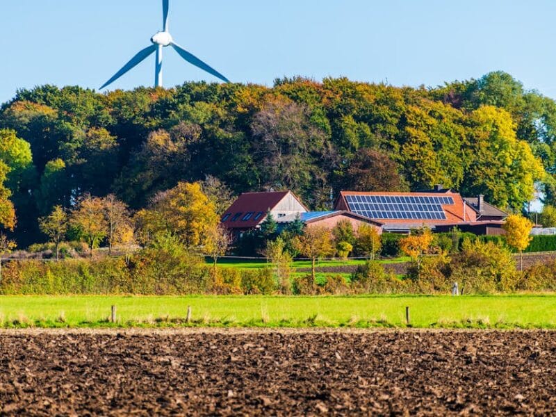 Nouveautés écologiques pour la maison