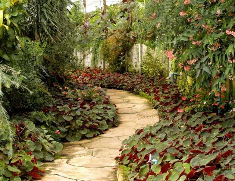 Améliorez votre jardin avec des conseils faciles