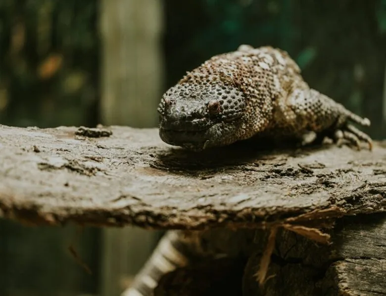 Solutions écologiques pour un habitat sain et agréable