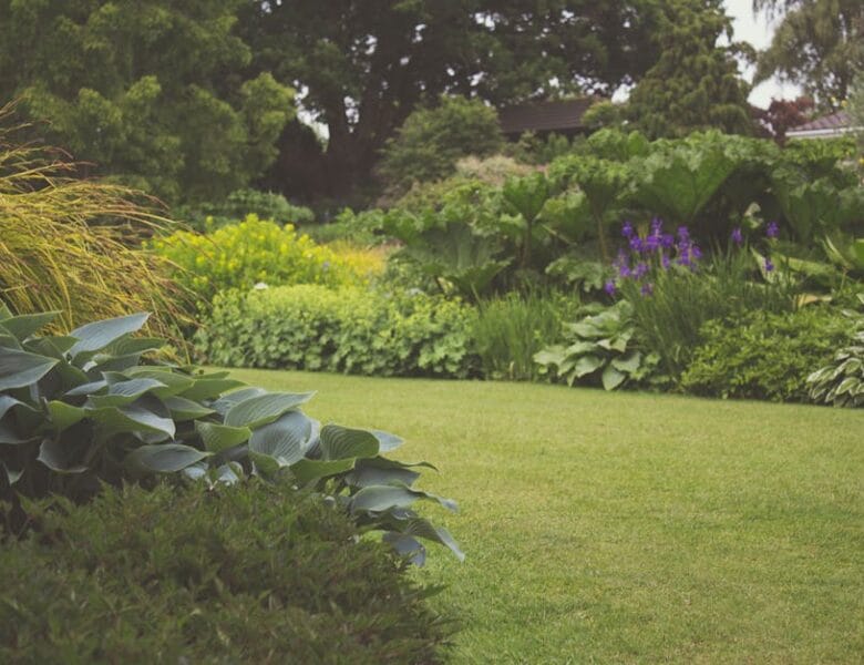 Astuces pour un jardin écologique et fleuri