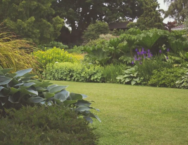 Astuces pour un jardin écologique et fleuri