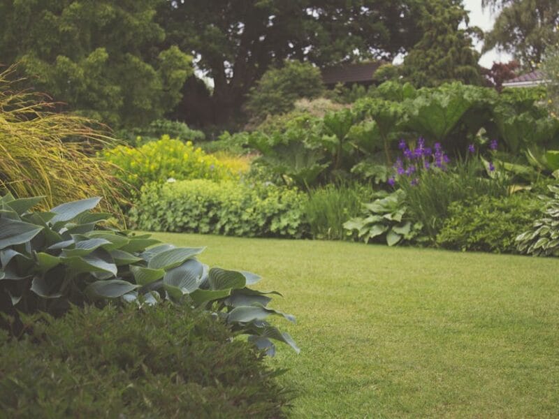 Astuces pour un jardin écologique et fleuri
