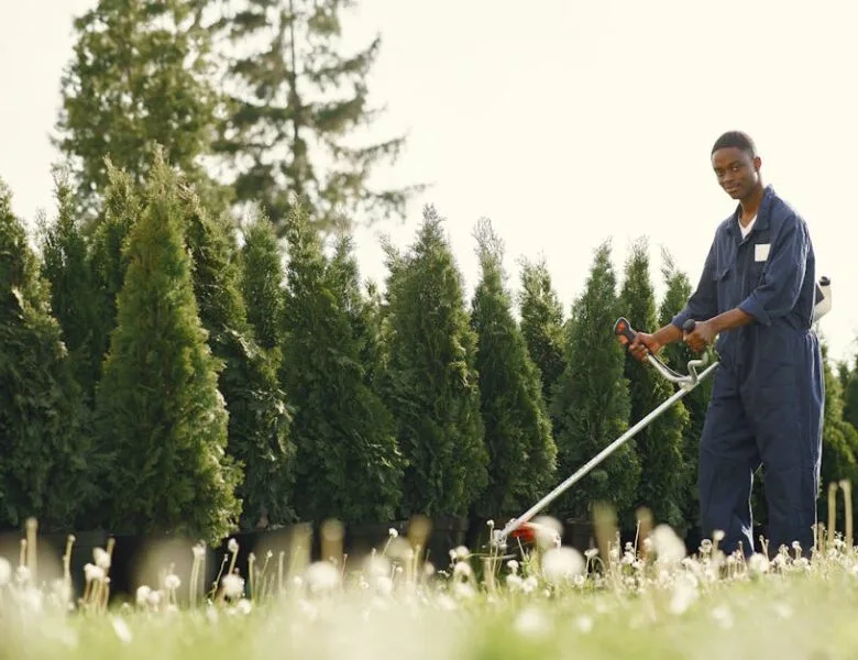 Jardinage : boostez votre espace vert facilement