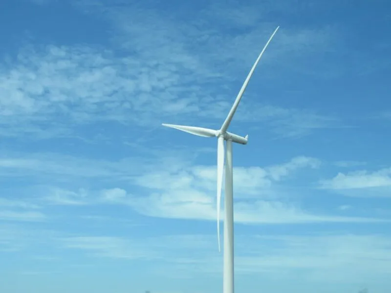 Tendances écologiques au quotidien
