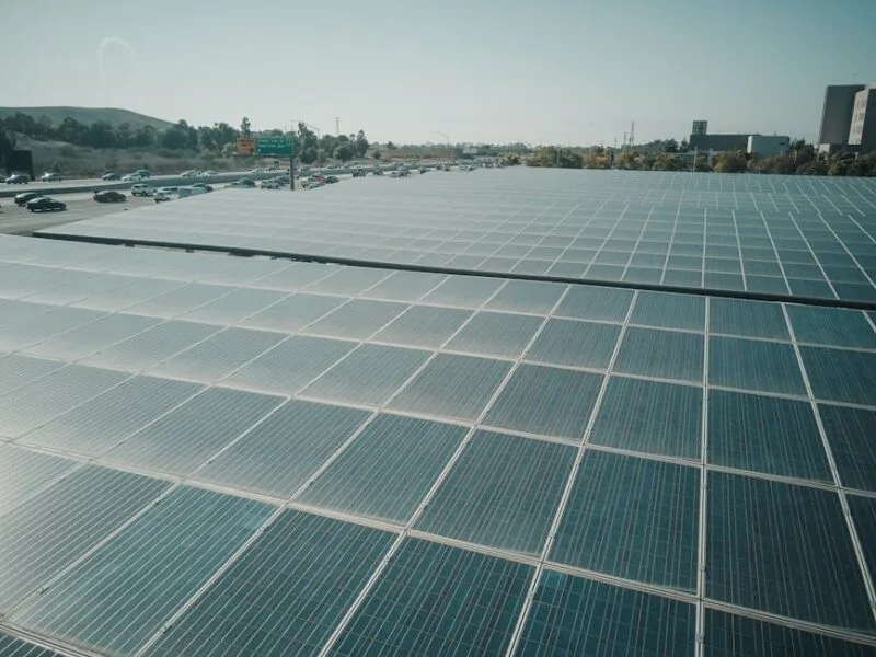 Investir dans l’écologie : un choix rentable