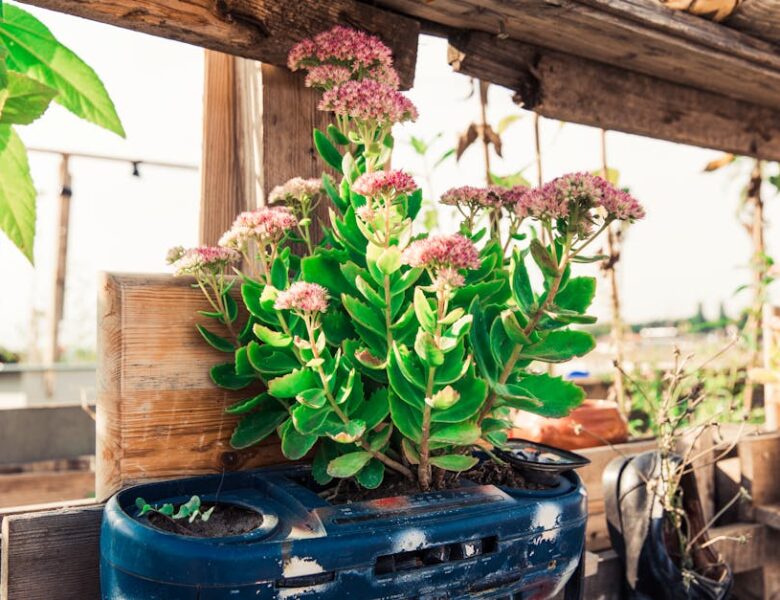 Tendances Décoration Écologique à Suivre