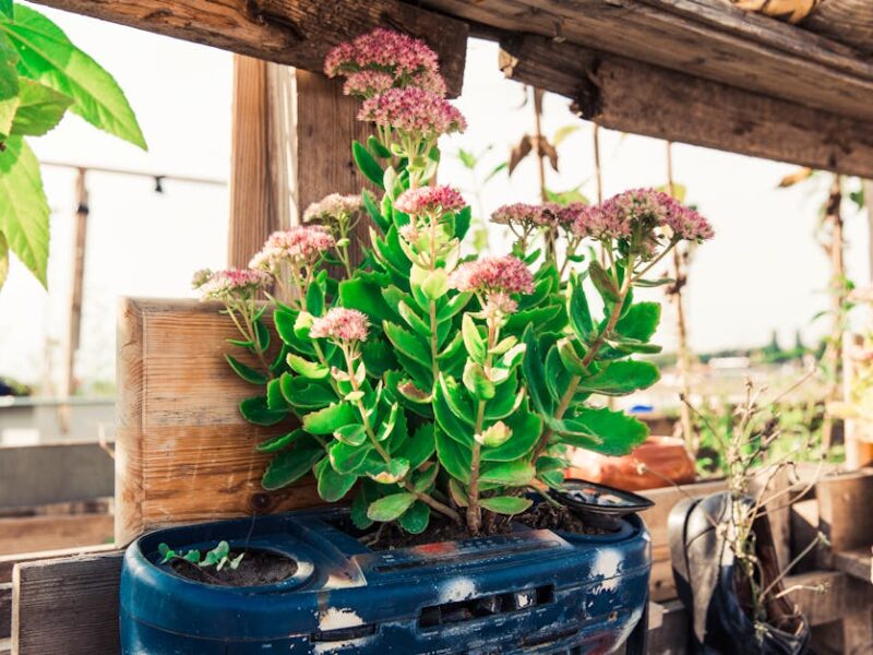 Tendances Décoration Écologique à Suivre