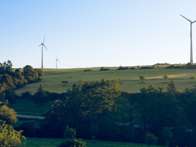 Techniques écologiques pour mieux vivre