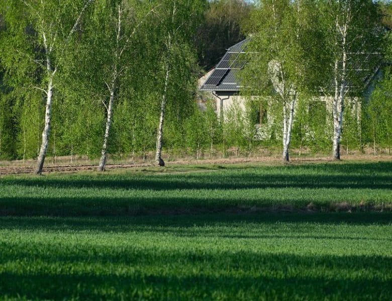 Astuces pratiques pour une maison écoresponsable