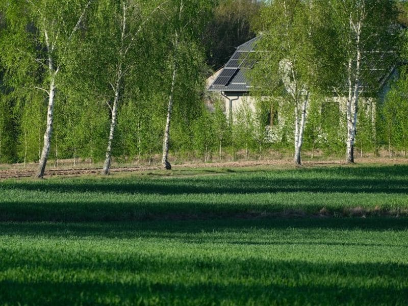 Astuces pratiques pour une maison écoresponsable