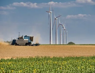 Emploi et écologie : les nouveaux métiers