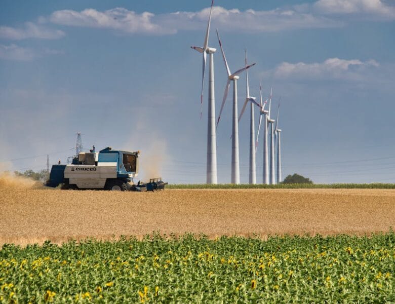 Emploi et écologie : les nouveaux métiers